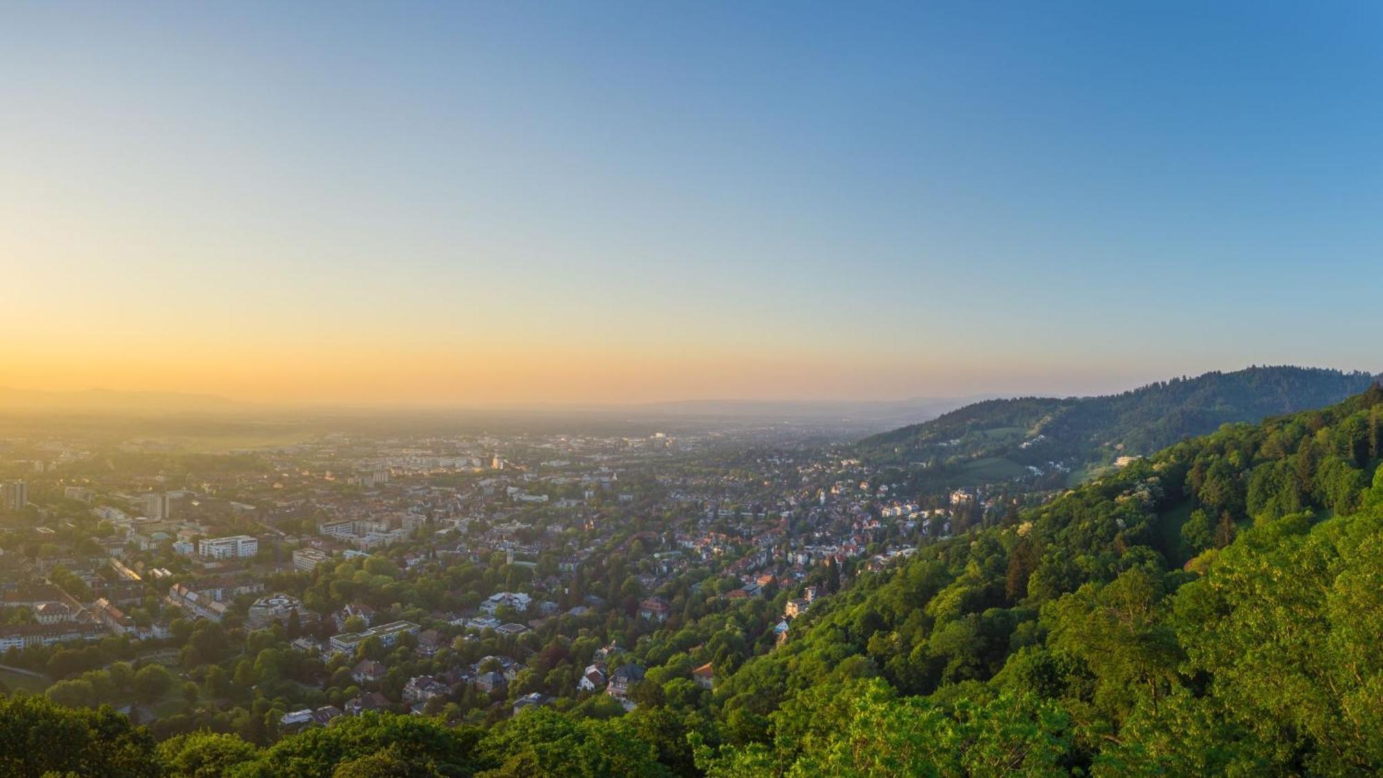 Ferienwohnung Muenster, Sehr Zentral Freiburg im Breisgau Eksteriør bilde