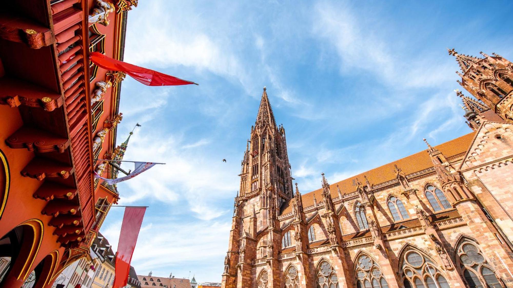 Ferienwohnung Muenster, Sehr Zentral Freiburg im Breisgau Eksteriør bilde
