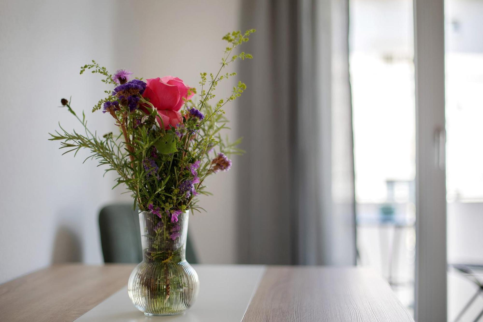 Ferienwohnung Muenster, Sehr Zentral Freiburg im Breisgau Eksteriør bilde